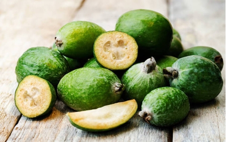 Feijoa bio