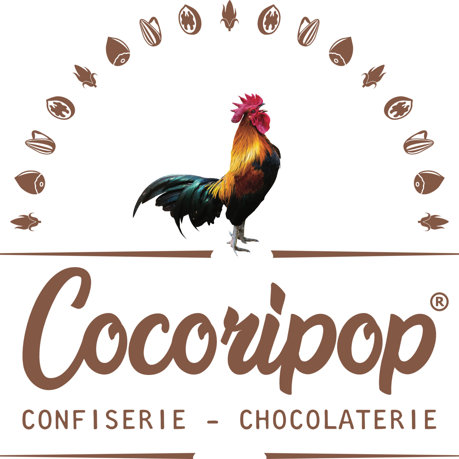 Logo Cocoripop