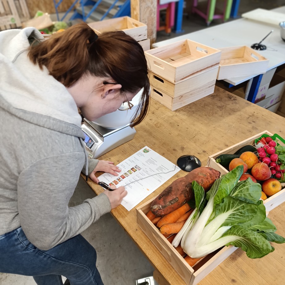 Gros plan sur une cagette de légumes bio frais