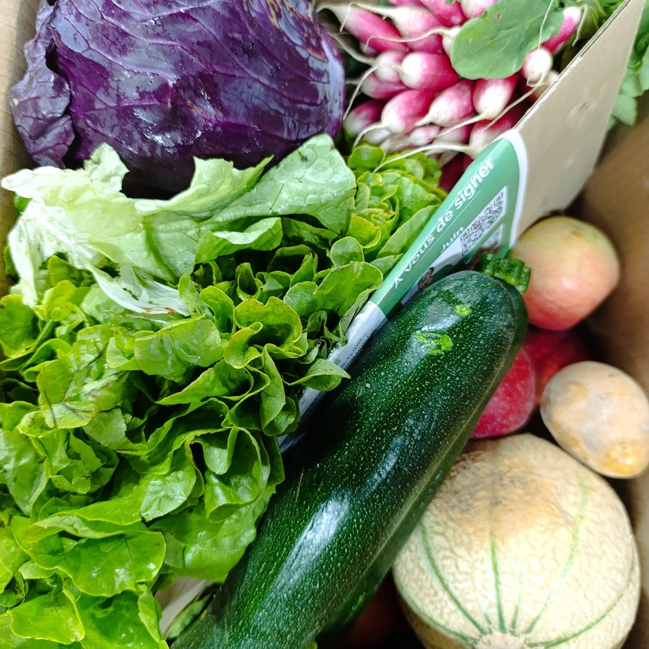 Cagette de légumes bio frais : salade, courgette, chou rouge et radis